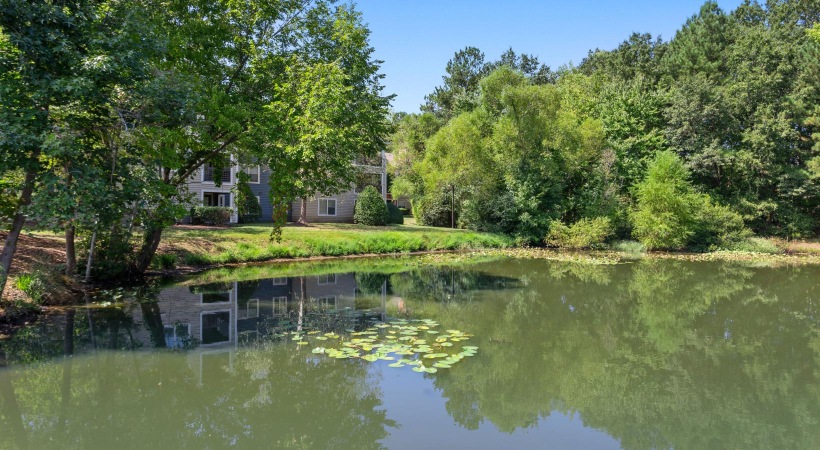 a body of water with trees around it